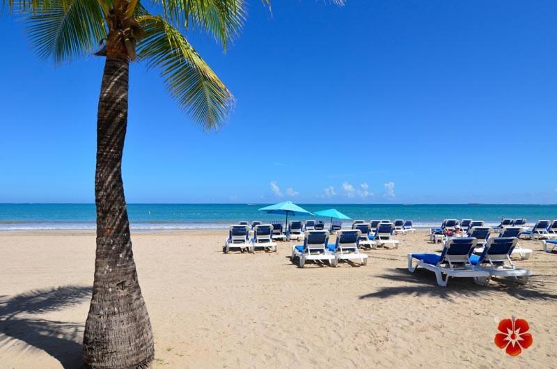 Mjac Luxury Apartment Beach San Juan Ngoại thất bức ảnh